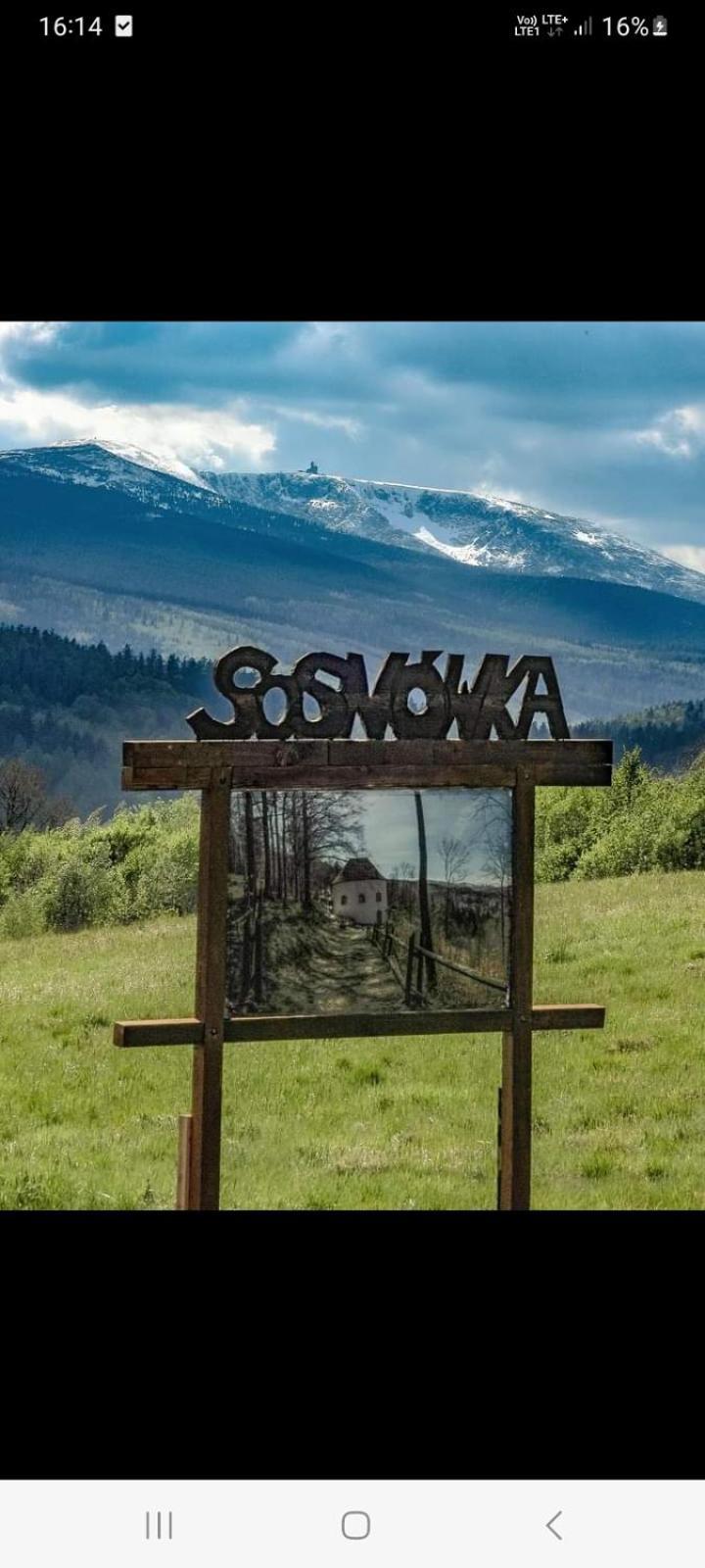 Apartament Laba Sosnowka  Exterior photo